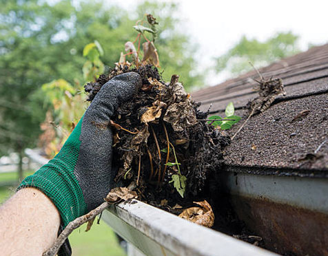 Gutter Cleaning Service in Austin TX